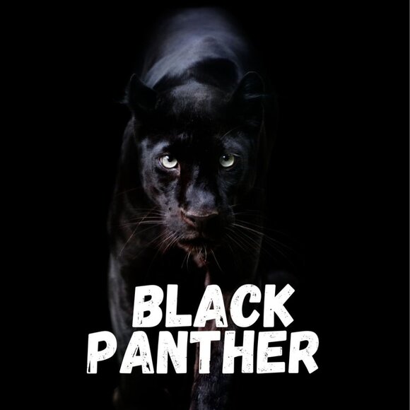 Aromatherapy Oil Diffuser Oil Home Fragrance Oil HIS PLACE Bundle - Picture 7 of 9